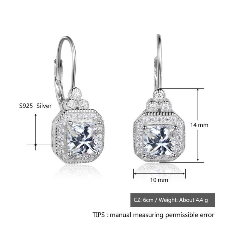 s925 sterling silver rhinestone earrings - Image 4